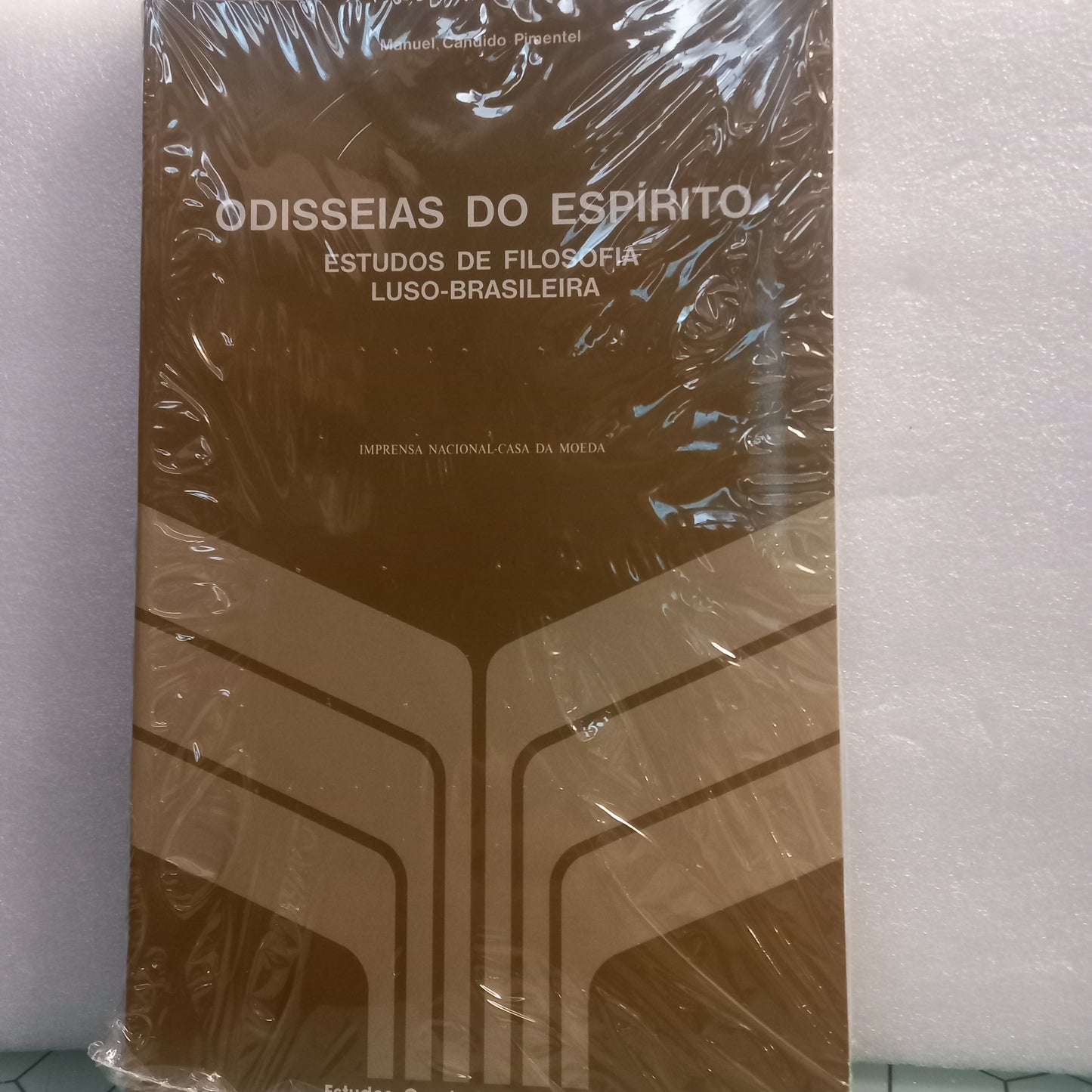 Odisseias do Espirito (Estudos de Filosofia Luso-Brasileira)