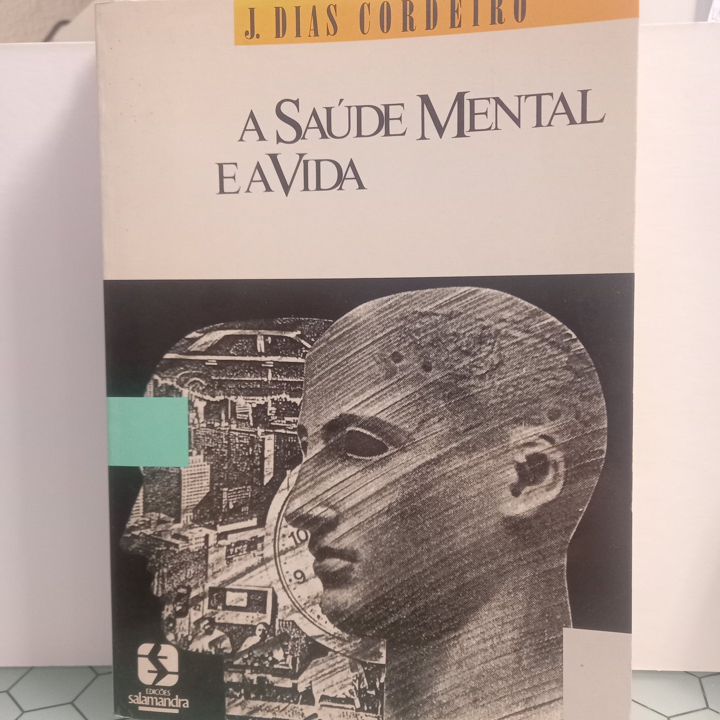 A Saúde Mental e a Vida (Bom Estado)