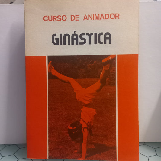 Curso de Animador (Manuseado)