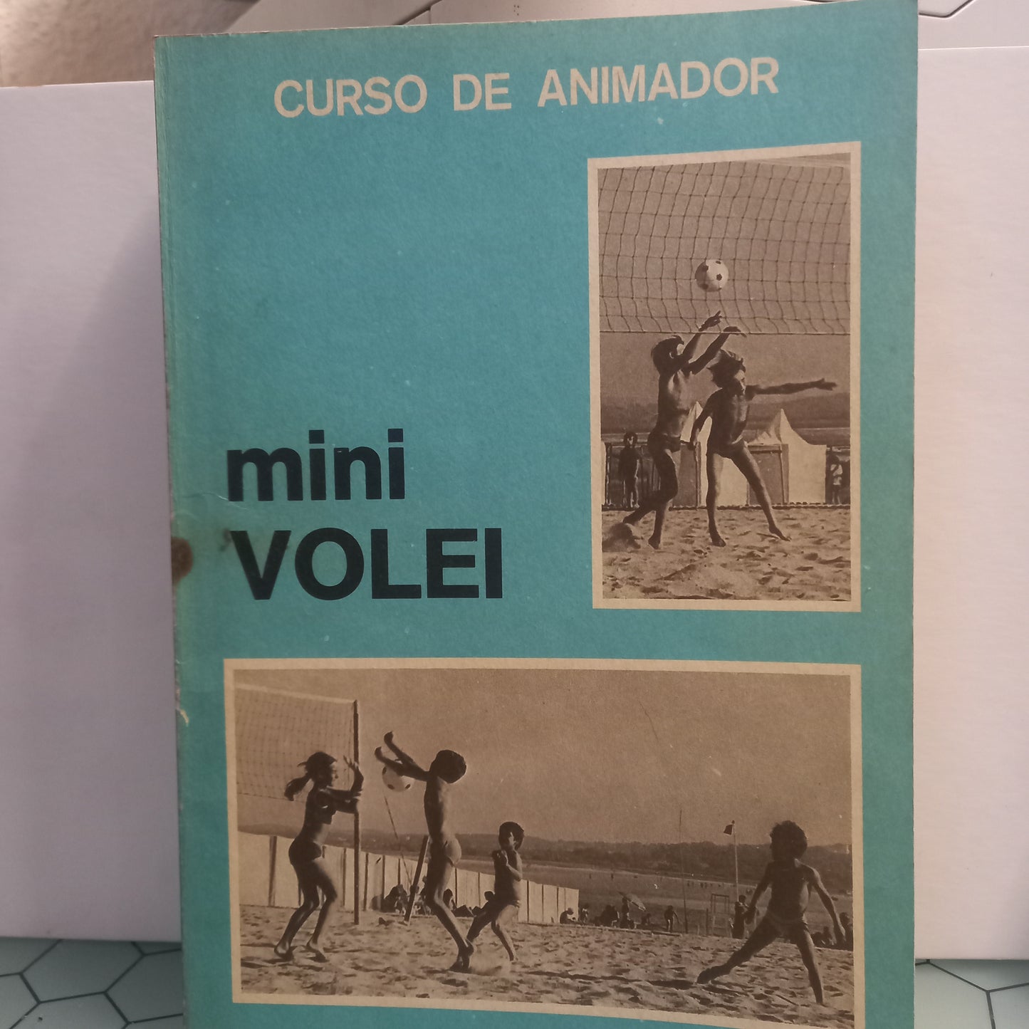 Curso de Animador Mini Volei (Usado)