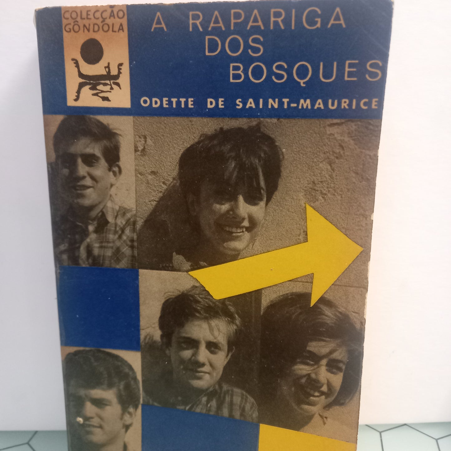 A Rapariga dos Bosques (Usado)