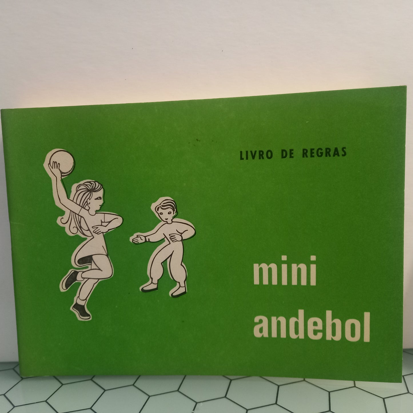 Livro de Regras Mini Andebol (Usado)