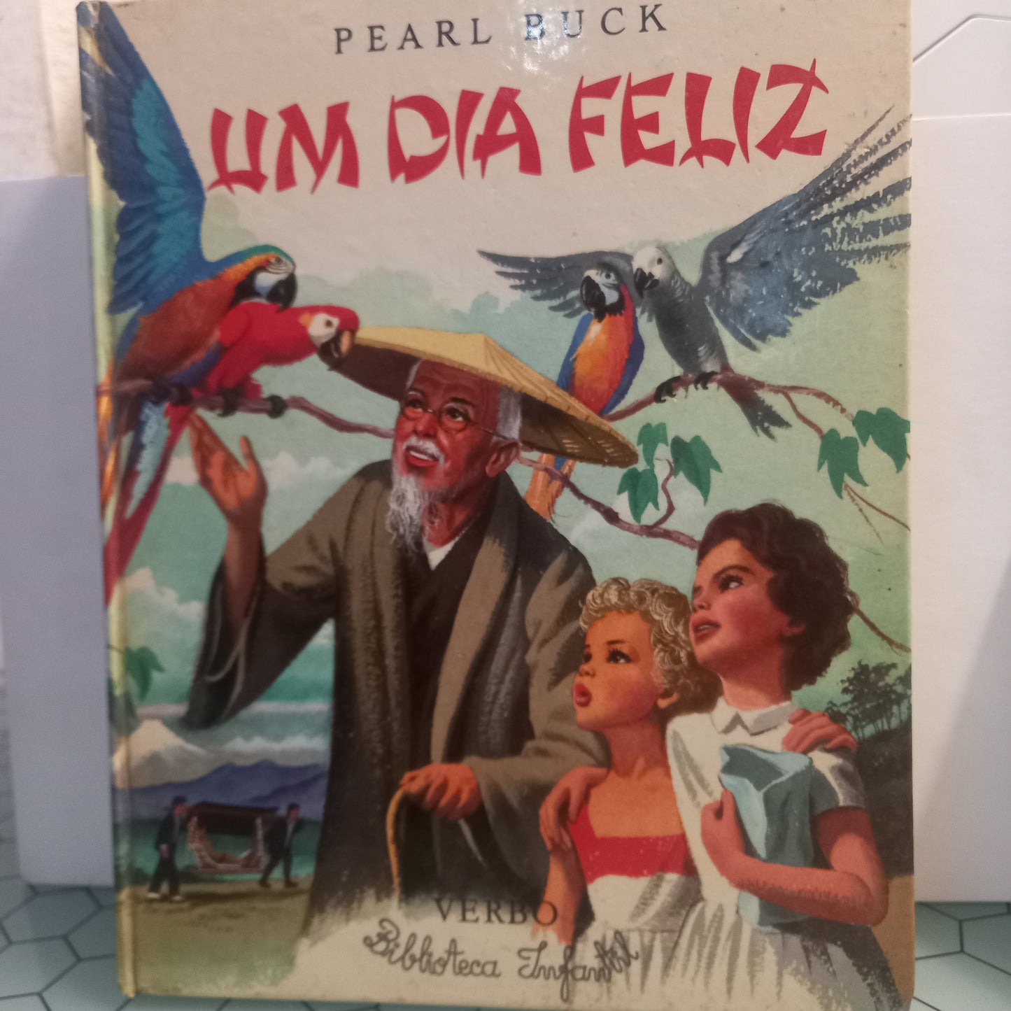 Um Dia Feliz (USADO)