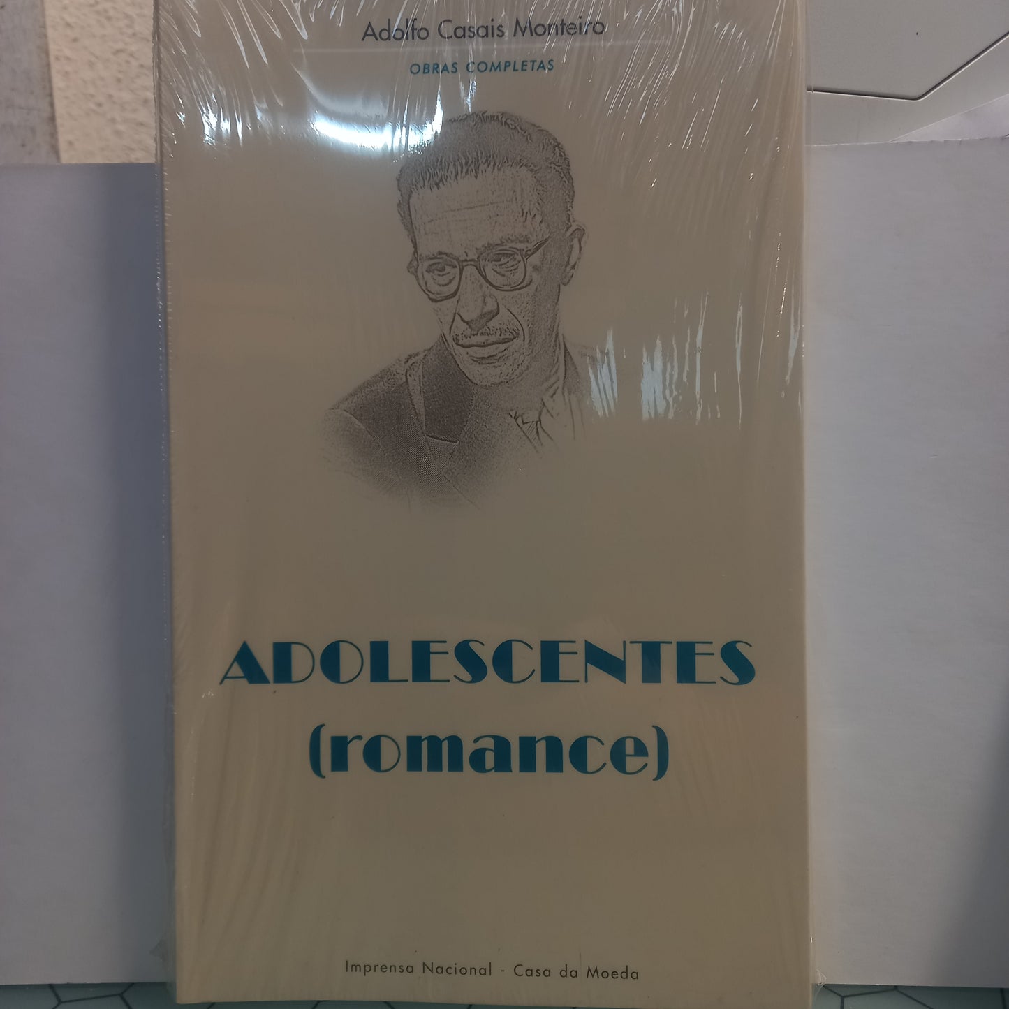 Adolescentes (Romance)