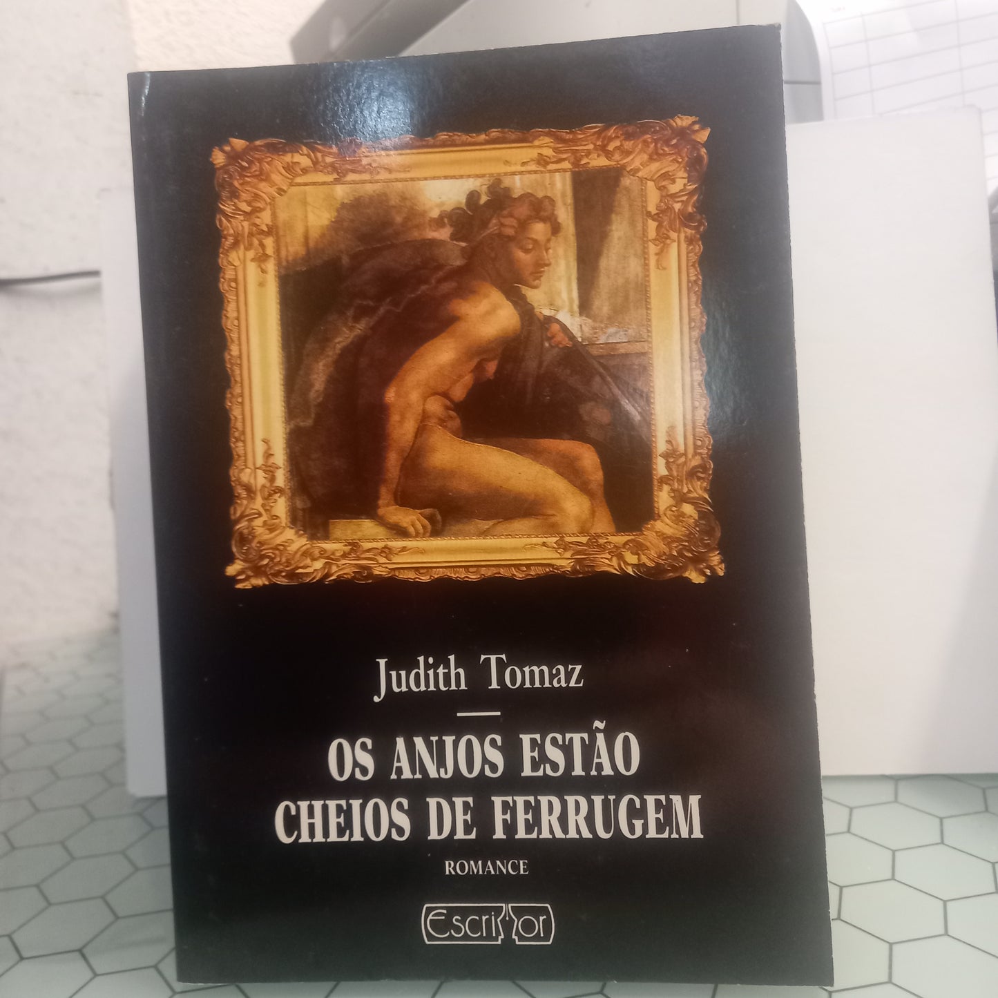 Os Anjos Cheios de Ferrugem (Bom Estado)