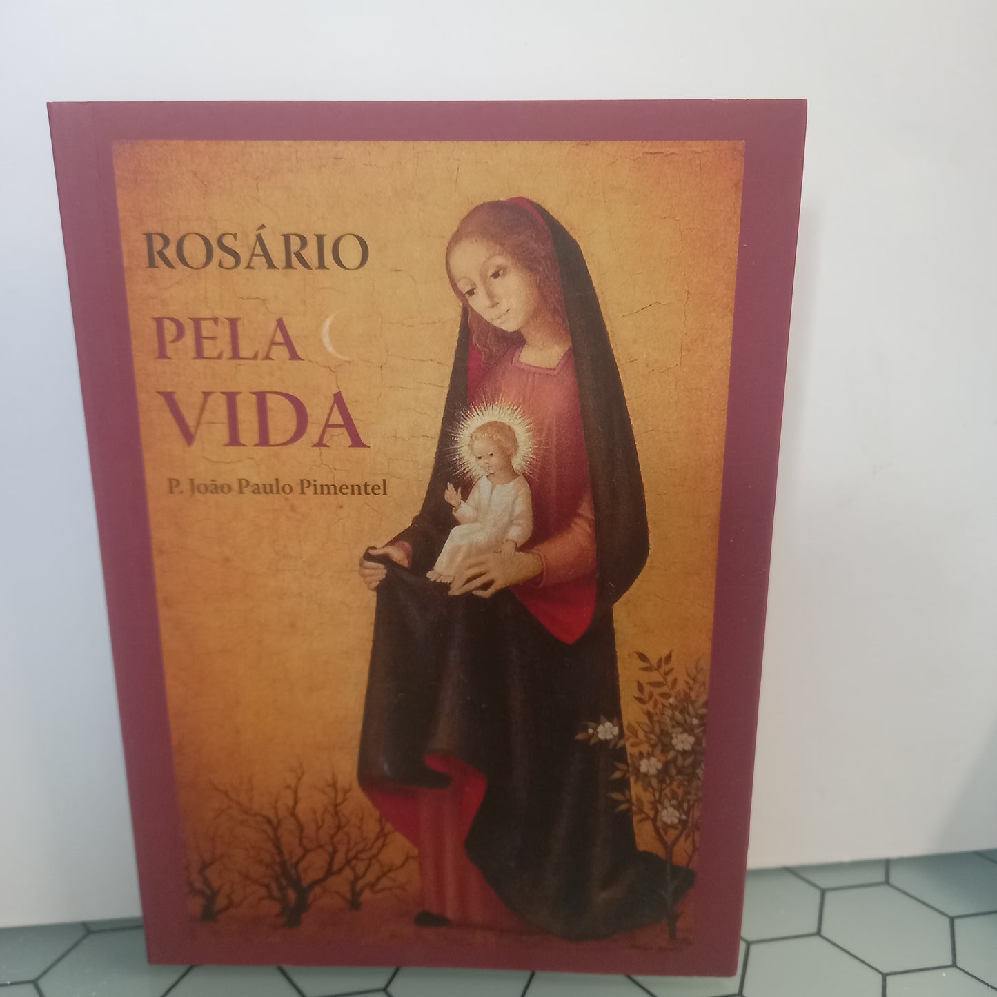Rosário pela Vida