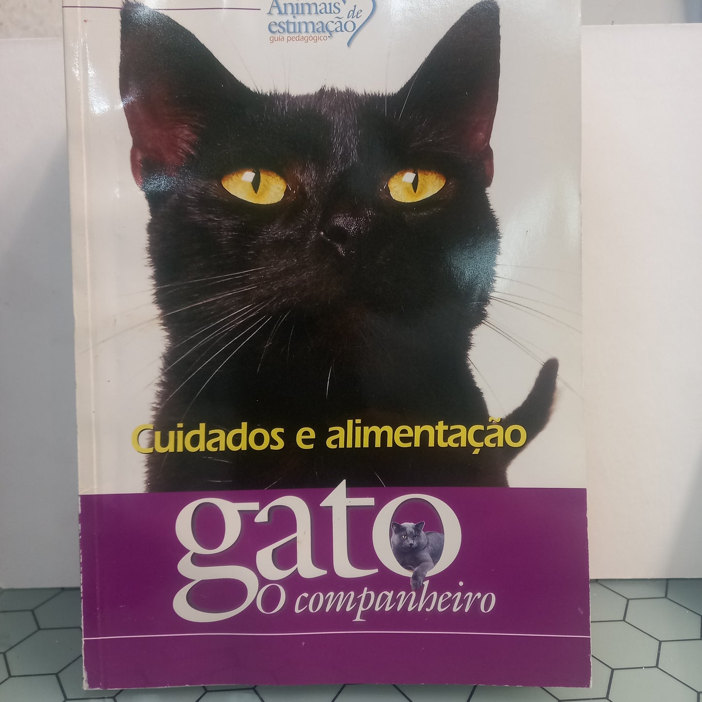 Cuidados e Alimentação (Usado)