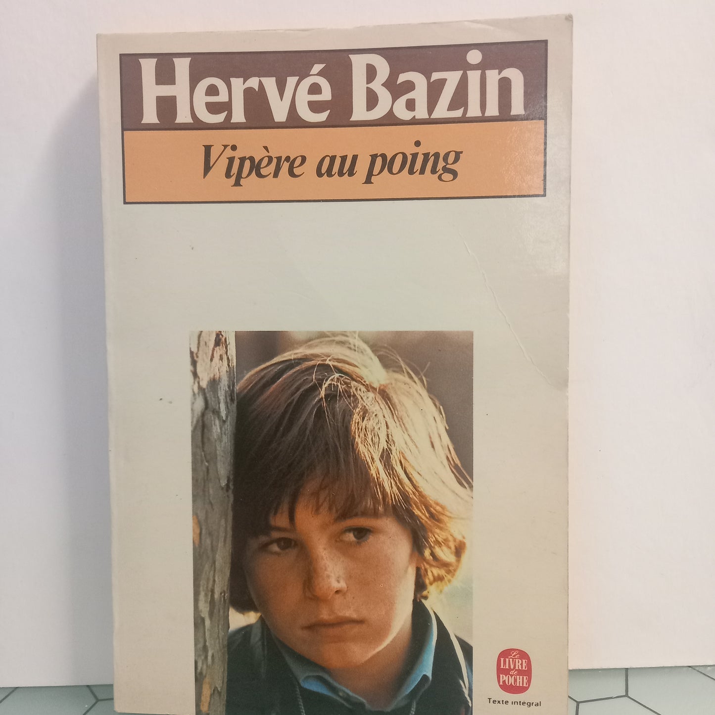 Vipere au poing (Bom Estado) (CAPA DIF)