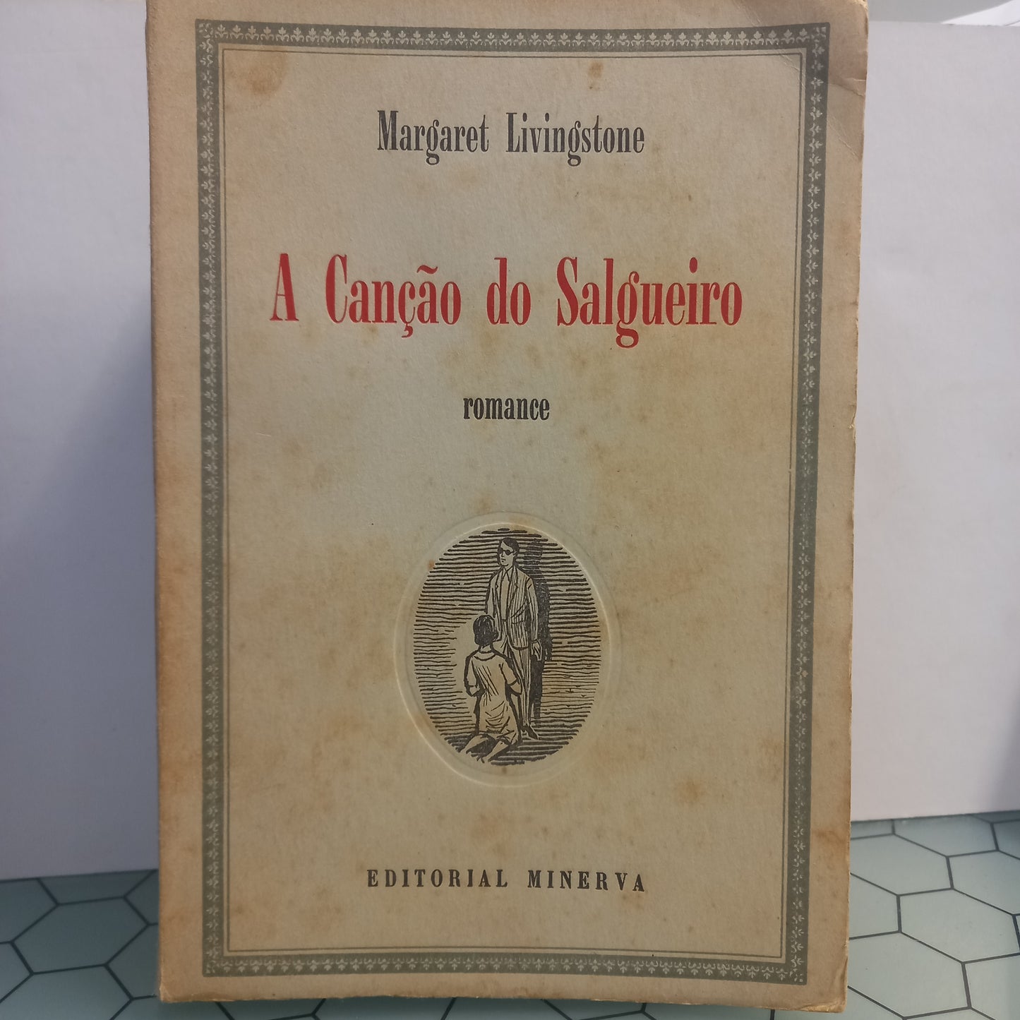 A Canção do Salgueiro (Envelhecido)
