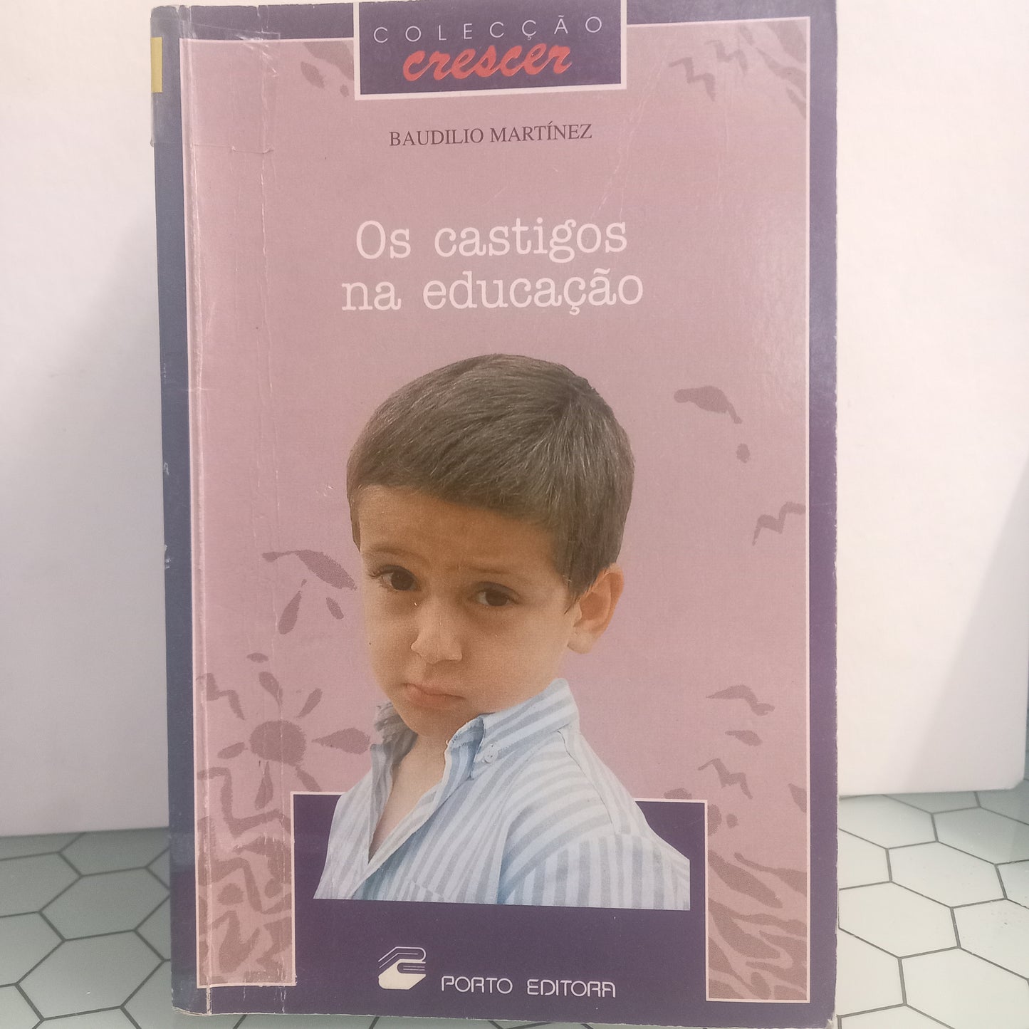 Os Castigos Na Educação (Usado)