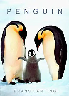 IMAGE NOT AVAILABLE